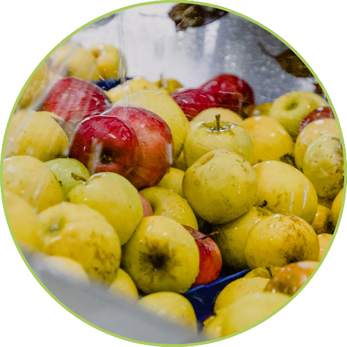 materia prima bordo verde